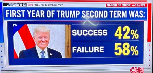 Trump’s first year was a real doozy